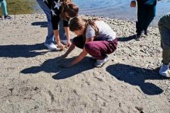IMG_20261002_121457