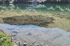 IMG_20261002_123315